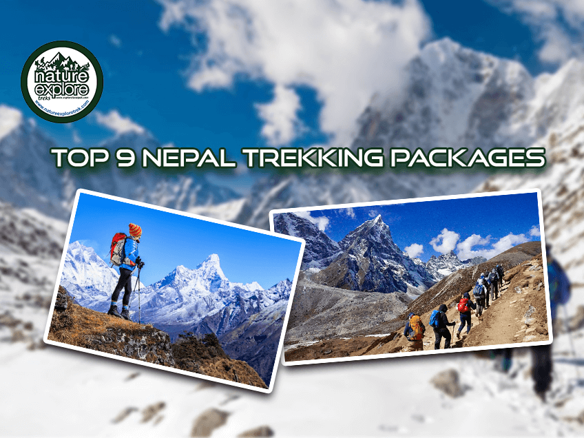 Top 9 Nepal Trekking Packages for a Memorable Adventure
